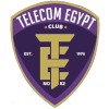 Telecom Egypt logo