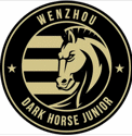 Wenzhou Professional