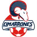 Cimarrones de Sonora
